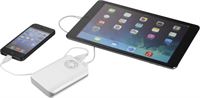 POWERBANK DA 6000 MAH CON TORCIA